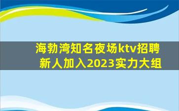 海勃湾知名夜场ktv招聘新人加入2023实力大组